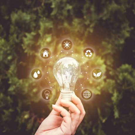 Concept save energy efficiency. Hand holding light bulb with icon on blurred tree background